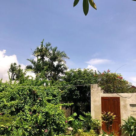 Villa Abhista Seminyak Zewnętrze zdjęcie
